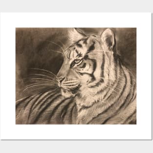 Charcoal Tigress Posters and Art